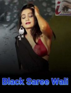 Read more about the article 18+ Black Saree Wali 2020 iEntertainment Hindi Hot Video 720p HDRip 150MB Download & Watch Online