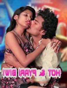 Read more about the article 18+ Hot and Pyari Biwi 2020 Desi Hindi Hot Video 720p HDRip 100MB  Download & Watch Online