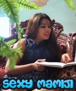 Read more about the article 18+ Sexy Mamiji 2020 Desi Hindi Hot Video 720p HDRip 80MB Download & Watch Online