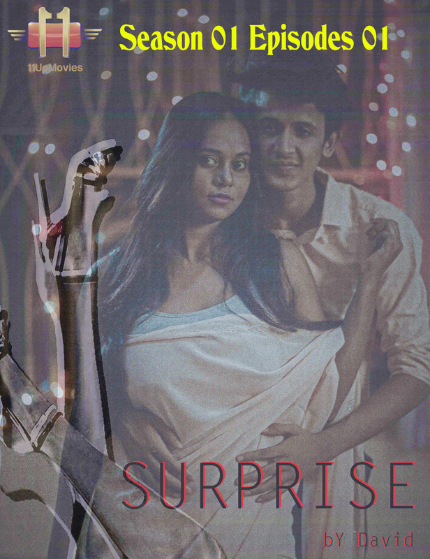 You are currently viewing 18+ Surprise 2020 S01E01 Hindi 1UpMovies Web Series 720p HDRip 240MB Download & Watch Online