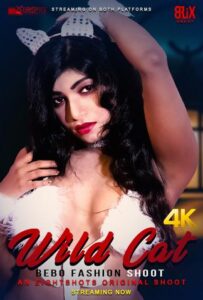 Read more about the article 18+ Wildcat Bebo 2020 EightShots Hindi Hot Video 720p HDRip 80MB  Download & Watch Online
