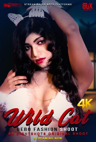 You are currently viewing 18+ Wildcat Bebo 2020 EightShots Hindi Hot Video 720p HDRip 80MB  Download & Watch Online