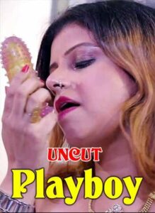 Read more about the article 18+ Playboy 2020 FlizMovies Hindi UNCUT Hot Web Series 720p HDRip 90MB Download & Watch Online