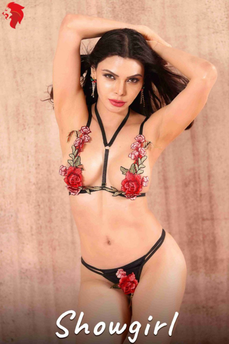 You are currently viewing 18+ Showgirl 2020 Hindi Sherlyn Chopra Hot Video  720p HDRip 150MB Download & Watch Online