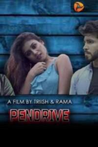 Read more about the article 18+ Pendrive 2020 Hindi S01E02 Hot Web Series 720p HDRip 200MB Download & Watch Online