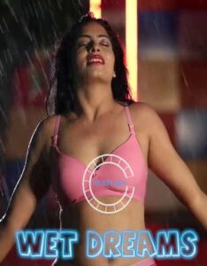 Read more about the article Wet Dreams 2020 Nuefliks Hindi Short Film 720p HDRip 300MB Download & Watch Online